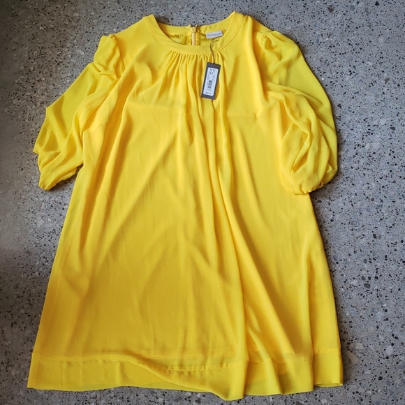 ⚜ NWT EVA MENDES DRESS ⚜ - Picture 6 of 6